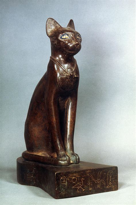 Myths Of Bastet Brabet