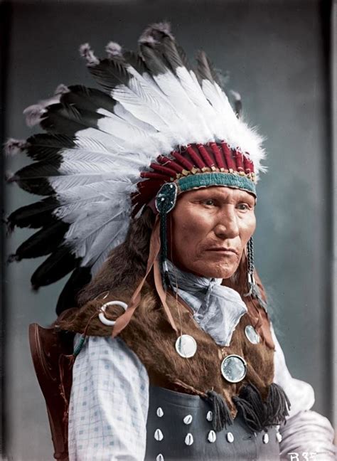 Native Indians Novibet