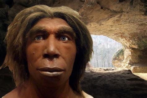 Neanderthals Brabet