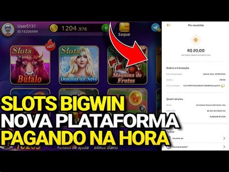 Nova Polaridade Slots