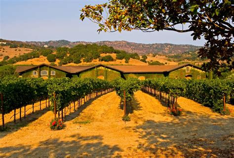 O Cassino De Napa Ca