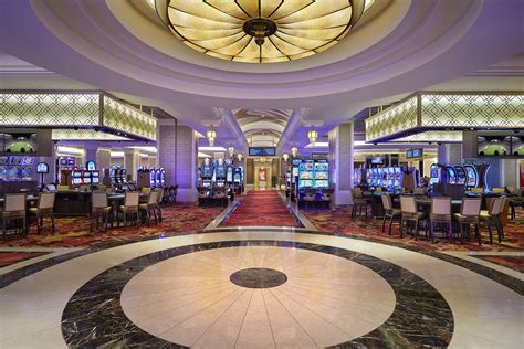 O Hard Rock Casino Em Tampa Servico De Estacionamento Personalizado