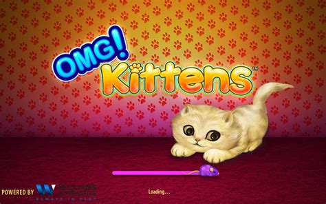 Omg Kittens Review 2024