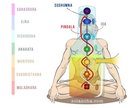 Patanjali Chakra Bwin