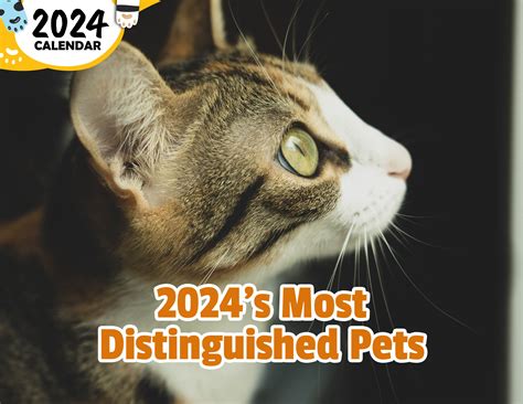 Pets Review 2024