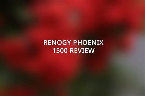 Phoenix Review 2024