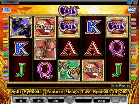 Play Cute Cats Slot