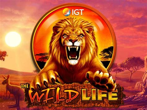 Play Re Wild Slot