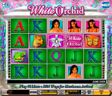 Play White Orchid Slot