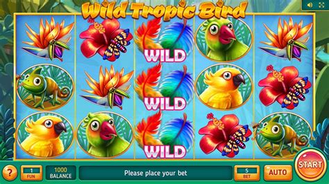 Play Wild Tropic Bird Slot