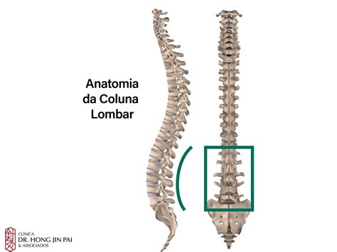 Poker Coluna Vertebral