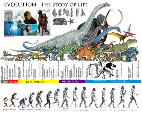 Prehistoric Story Betfair