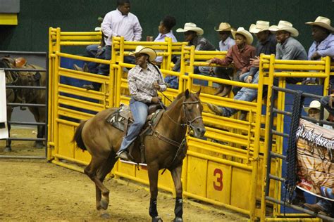 Preto Cowboy De Rodeio Jackson Ms