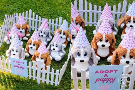 Puppy Party Betway