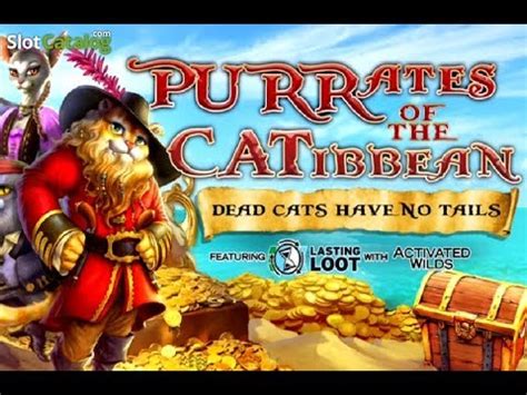 Purrates Of The Catibbean Betfair