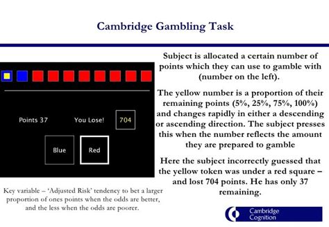 Rogers Cambridge Gambling Task