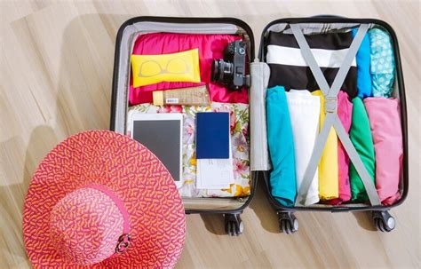 Roleta Despeje Valise De Viagem De Um