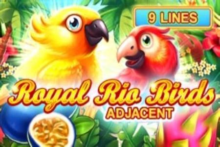 Royal Rio Birds Bodog