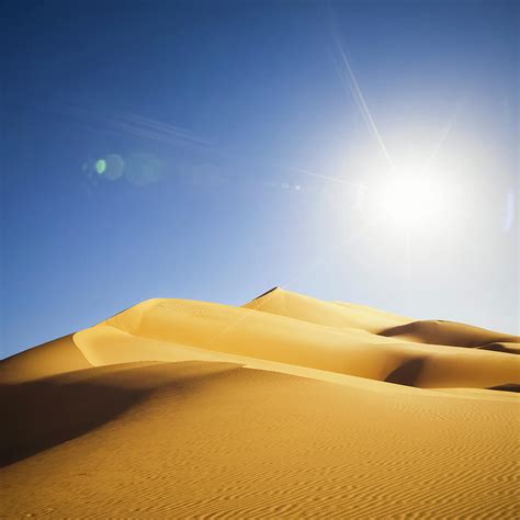 Sahara Sun Betsson