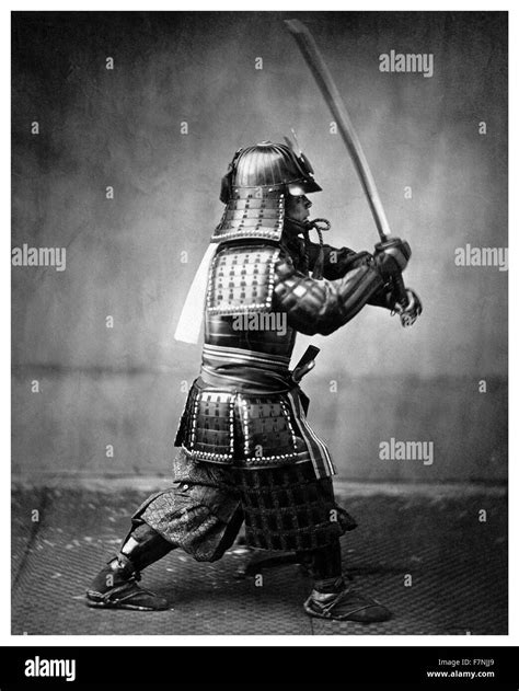 Samurai Warrior Bodog
