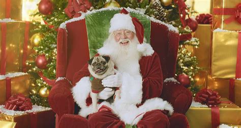 Santa Pets Bet365