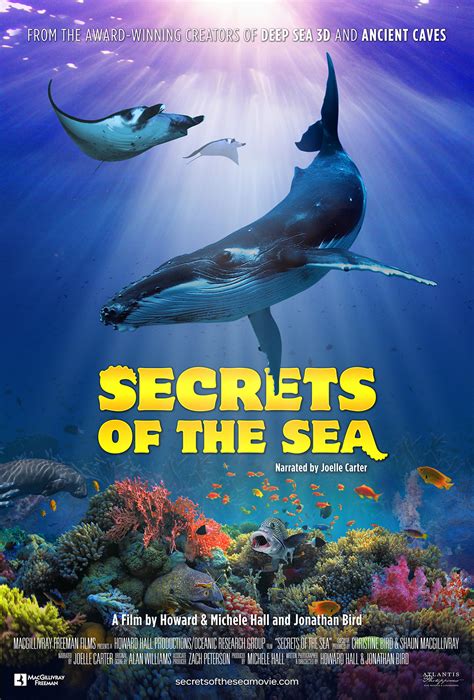 Secret Of Ocean Betfair