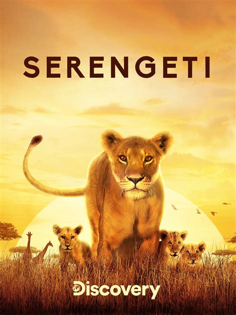 Serengeti Bet365