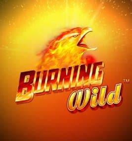 Slot Burning Wild