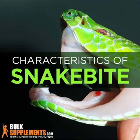 Snakebite Brabet