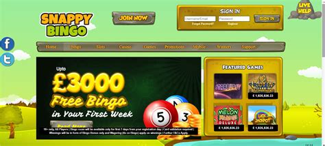Snappy Bingo Casino Login