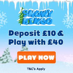 Snowy Bingo Casino Aplicacao