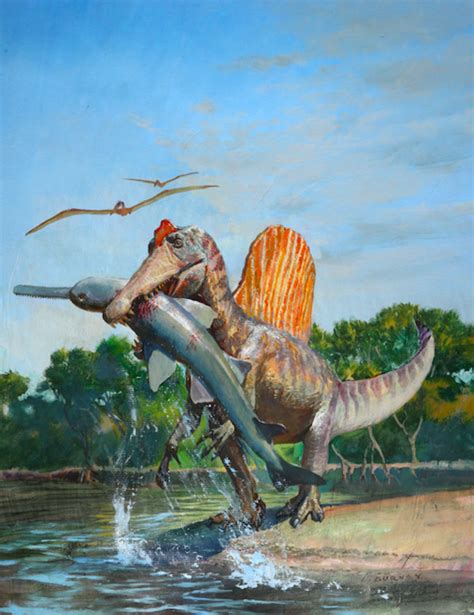 Spinosaurus Brabet