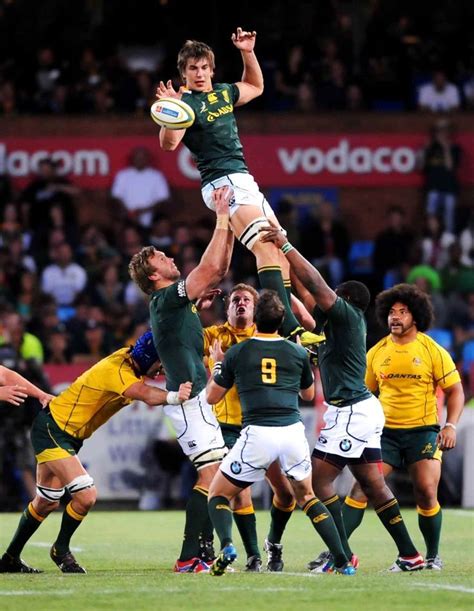 Springbok Slot De Rugby