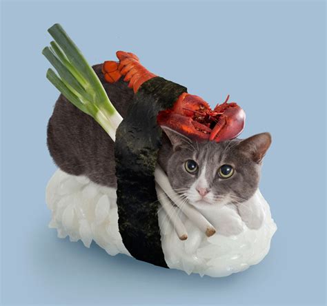 Sushi Cat Novibet