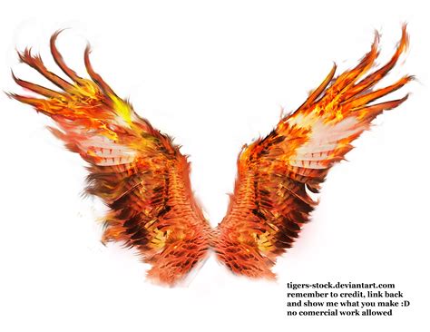 The Wild Wings Of Phoenix Novibet
