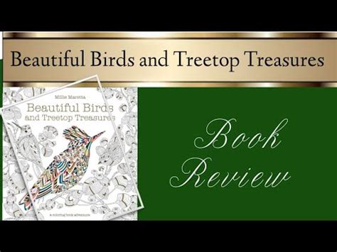 Treetop Treasures Review 2024