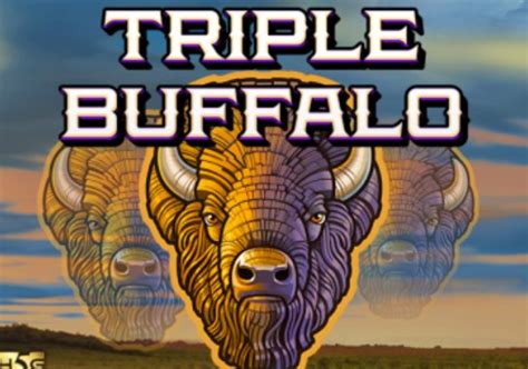 Triple Buffalo Brabet