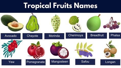 Tropical 7 Fruits Bwin