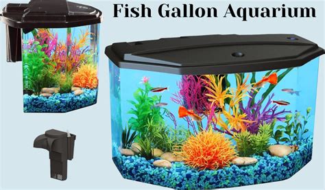 Tropical Aquarium Review 2024