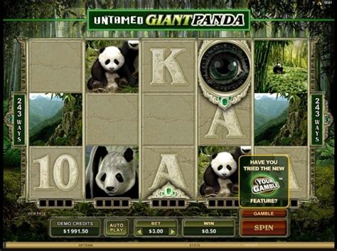 Untamed Giant Panda Leovegas