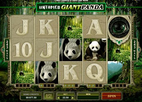 Untamed Panda Gigante Niqueis Gratis