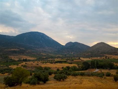 Valley Of The Muses Betano