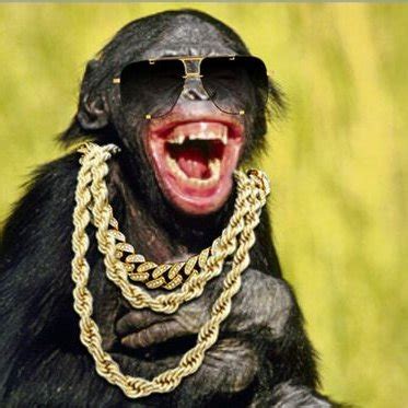 Wealthy Monkey Bwin