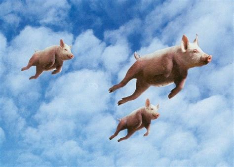 When Pigs Fly Betano