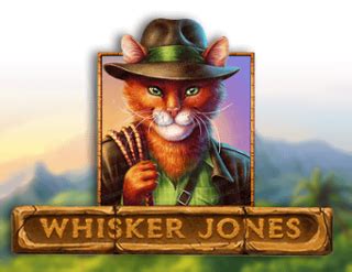 Whisker Jones Bodog
