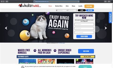 Whisker Wins Casino Mobile
