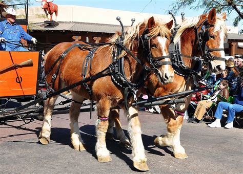 Wickenburg Casino