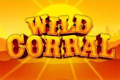 Wild Corral Review 2024