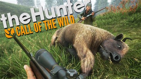 Wild Hunter Bodog