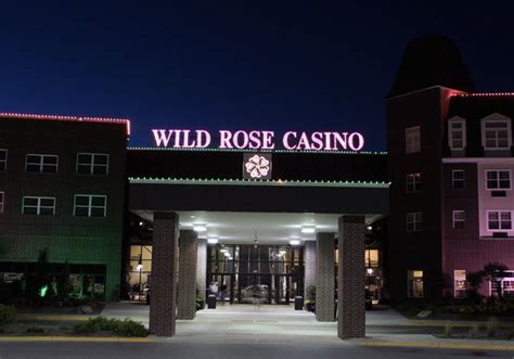 Wild Rose Casino Treinadores Canto